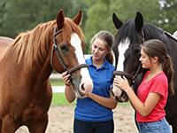 Building Secure Fences